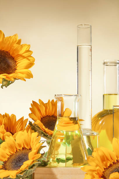 Sunflower Oil Distributors in Ukraine